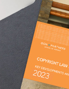 Copyright Law in Türkiye Key Development and Predictions 2023