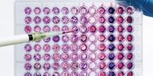 Pharmaceuticals and Life Sciences Law in Türkiye Key Developments and Predictions - 2026